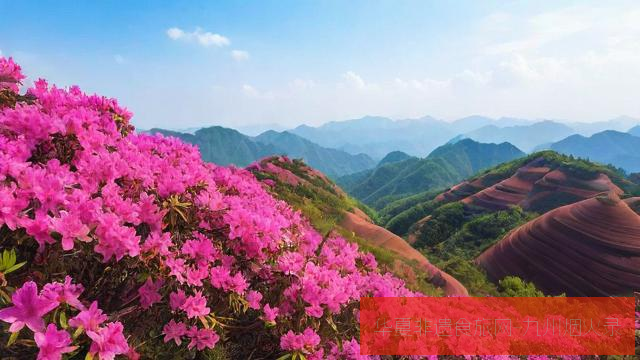 丹霞映山红：粤北韶关丹霞地貌与杜鹃花海双绝路线