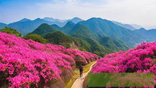 丹霞映山红:粤北韶关丹霞地貌与杜鹃花海双绝路线第2张 丹霞映山红:粤北韶关丹霞地貌与杜鹃花海双绝路线第2张