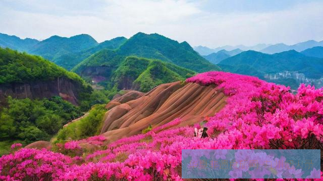 丹霞映山红:粤北韶关丹霞地貌与杜鹃花海双绝路线第3张 丹霞映山红:粤北韶关丹霞地貌与杜鹃花海双绝路线第3张