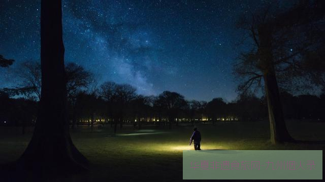 春夜探险家：安全观测城市公园夜行生物指南