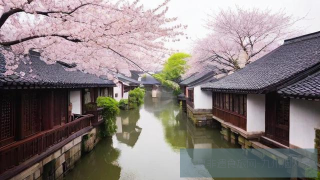 樱花雨落时：江南古镇与日式庭院赏樱对比攻略