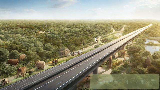 生态桥梁计划：为动物迁徙让路的公路旅行指南