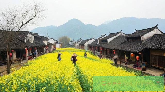 丝绸之春：从养蚕到缫丝的江南非遗体验路线