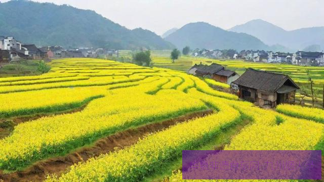 丝绸之春：从养蚕到缫丝的江南非遗体验路线第3张